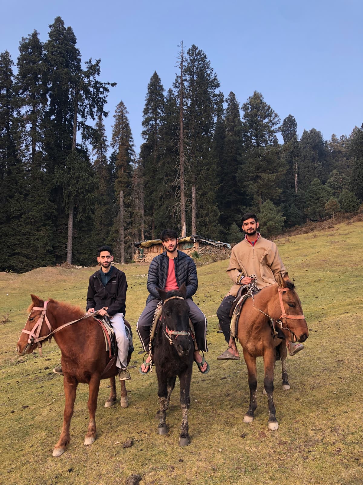 Riding the Meadows