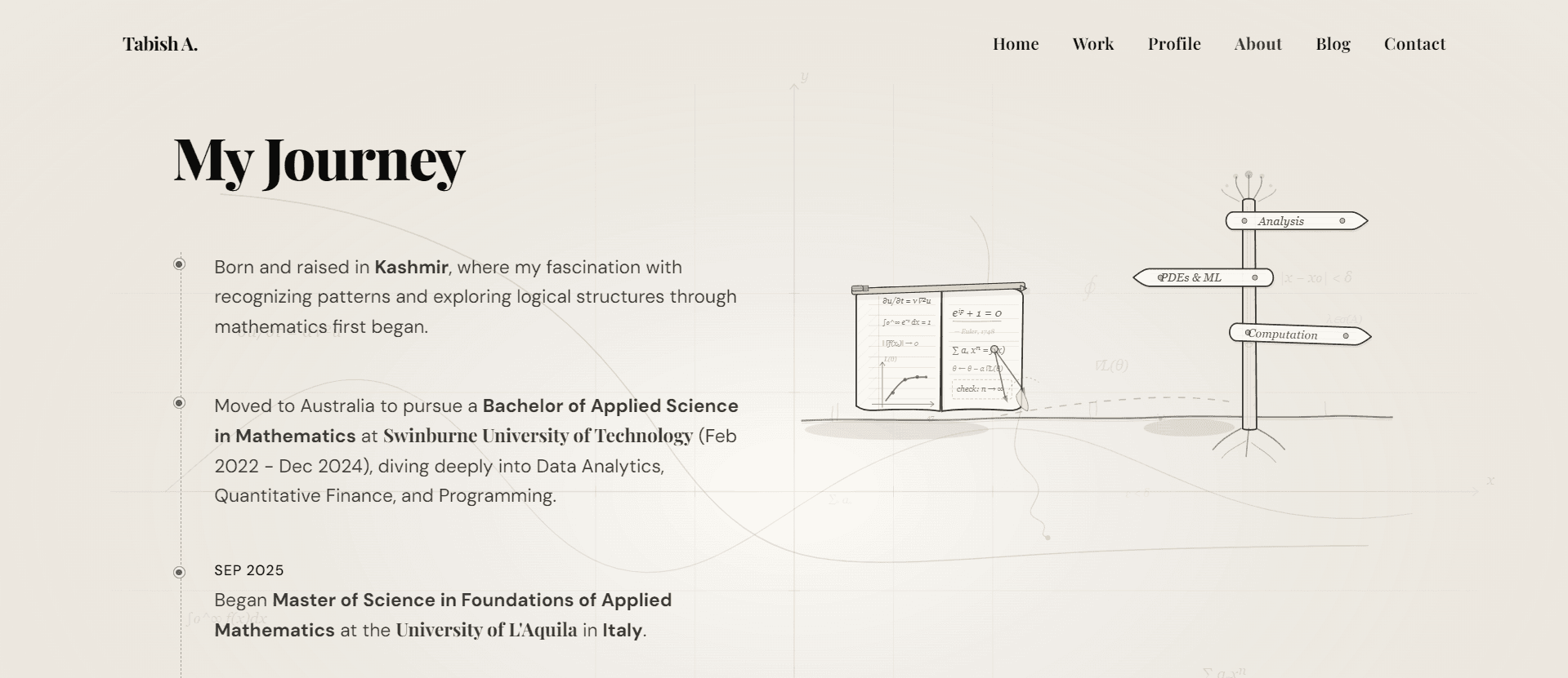 Academic Portfolio — Tabish Ali screenshot 2