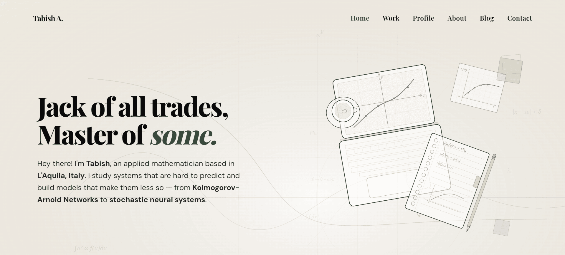 Academic Portfolio — Tabish Ali screenshot 1